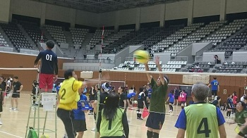 20160923-hachi cup 1.JPG